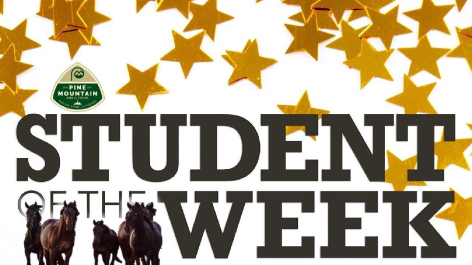 Stars with Student of the Week Words and Horses